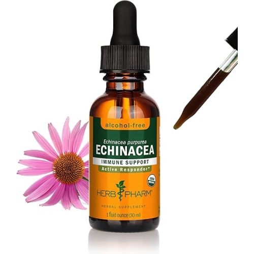 Herb Pharm Echinacea Alcohol-Free Extract: Immune System Support for All Seasons | Fast-Absorbing Echinacea Root Organic Supplement | Non-GMO, Vegan & Gluten-Free | Glycerite Liquid | 1 oz