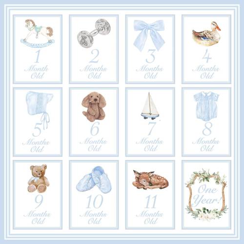 Boy Milestone Cards / Preppy Baby Month Photo Cards / Preppy Baby Boy Milestone Cards / Classic Milestone Cards / Boy Baby Shower Gift