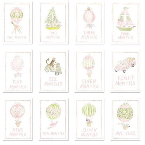Baby Milestone Cards: Menagerie Pink Set