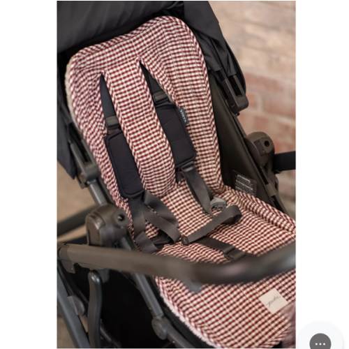 Reversible Stroller Insert