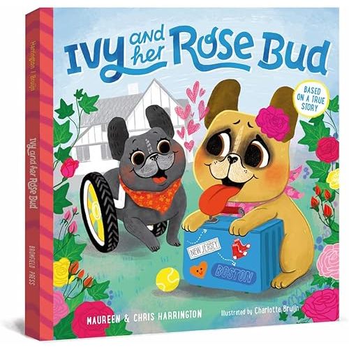 Ivy and her Rose Bud - A true story of kindness. NEW RELEASE Hardcover – Picture Book, July 10, 2025