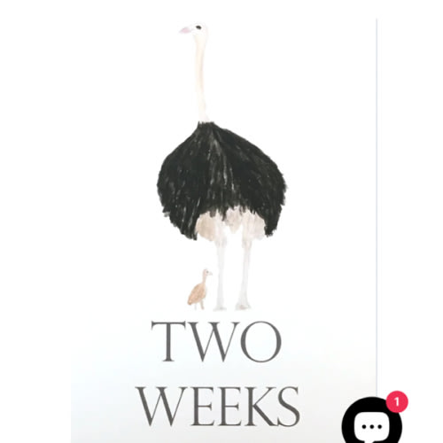 Baby Month Cards