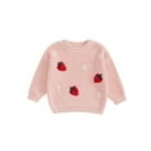 Suealasg Infant Baby Boy Girl Knit Sweater Long Sleeve Flower Fruit Embroidery Chunky Pullover Sweater 6M 1T 2T 3T Toddler Fall Winter Knitwear Top