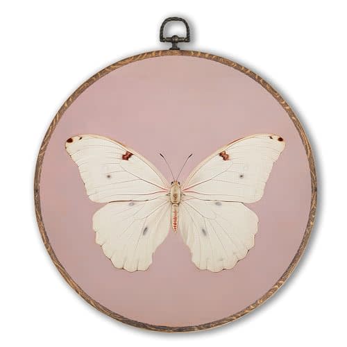 Vintage White Butterfly Pink Round Wall Art Framed, Neutral Moody Butterfly Round Wall Decor, Retro Insert Hanging Canvas Prints Wall Sculptures for Home Bedroom Living Room Decor, 10x10 Inch