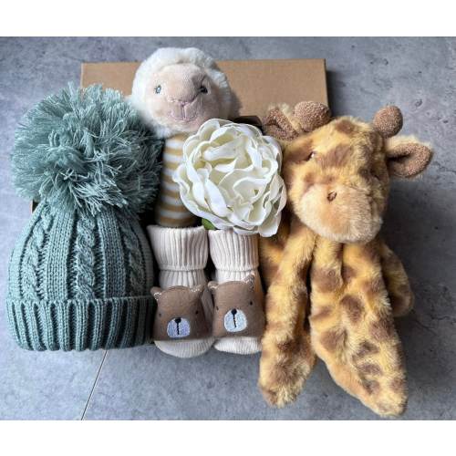 Baby Gift, New Baby Gift, Baby Boy, Baby Girl Gift,  Newbown gift, Baby Hamper, New Baby Giftbox, Baby Shower Gift,