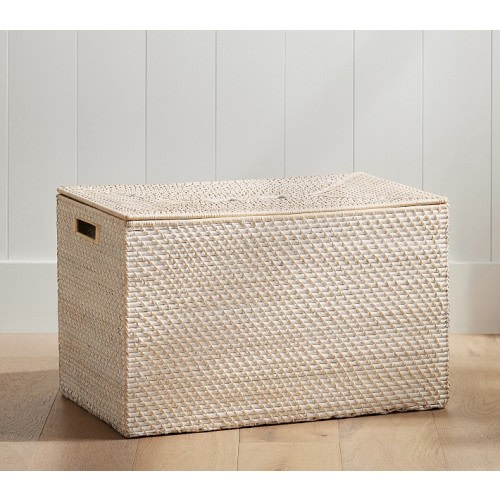 Quinn Lidded Storage Trunk