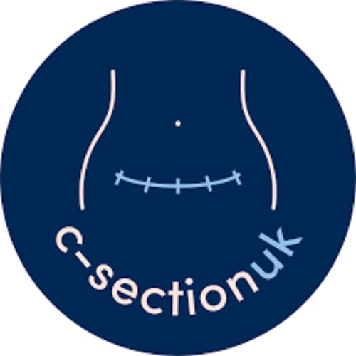 pregnancy books - Google Search