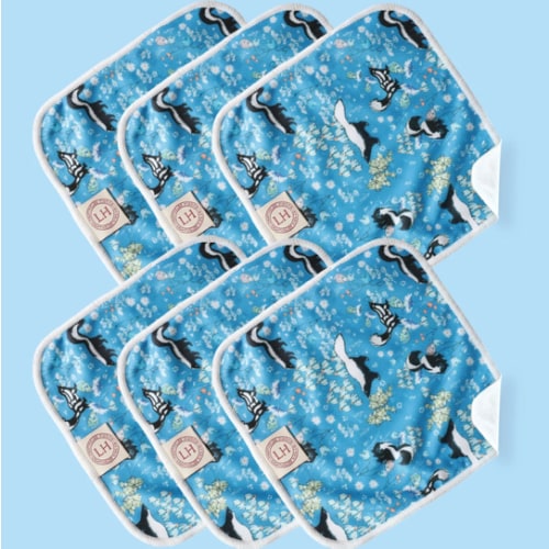 Reusable Cloth Wipes (Stinker)