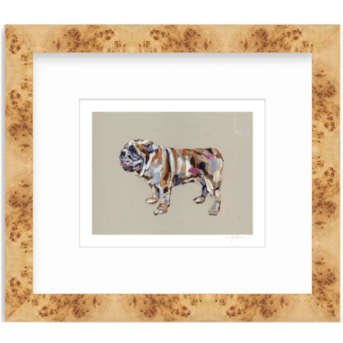 "Bulldog abstract" – Chelsea McShane Art