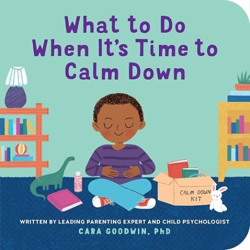 What to Do When It's Time to Calm Down Board Book