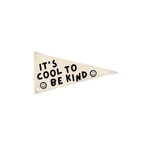 It's Cool To Be Kind Canvas Pennant Flag – Cherrypick