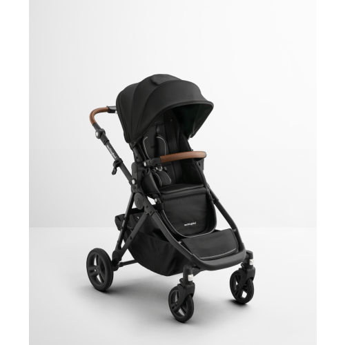 Single-to-Double Stroller 3.0