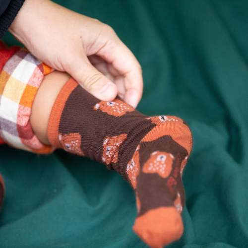 Teddy Bear Ankle Socks 5 Pack – Little Green Radicals