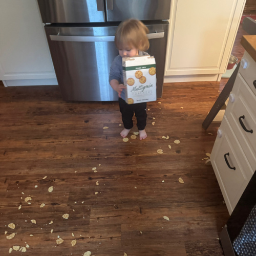 House Cleaning Fund