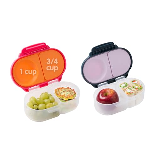 b.box Snack Box (2-pack) Reusable Snack Containers with Lids – Bento Box for Kids & Toddlers, Leakproof Lunch Box, BPA-Free and Dishwasher Safe Snack Container (S'shake + Indigo Rose, 1 3/4 Cup)