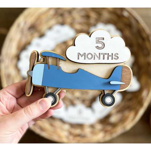 Airplane Monthly Milestones Photo Prop - Monthly Milestone Marker