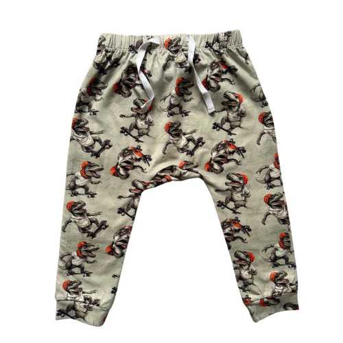 Skateboarding Dino joggers