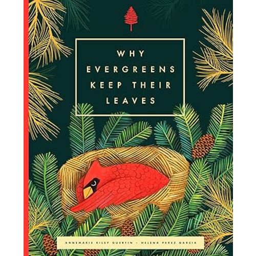 Why Evergreens Keep Their Leaves