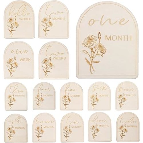 Baby Monthly Milestone Wooden Circles, 8 Double Sided Wooden Baby Milestone Signs, Baby Growth & Pregnancy Growth Milestone Cards, Newborn Gift for Girl & Boy, 1-12 Months (Light Wood)