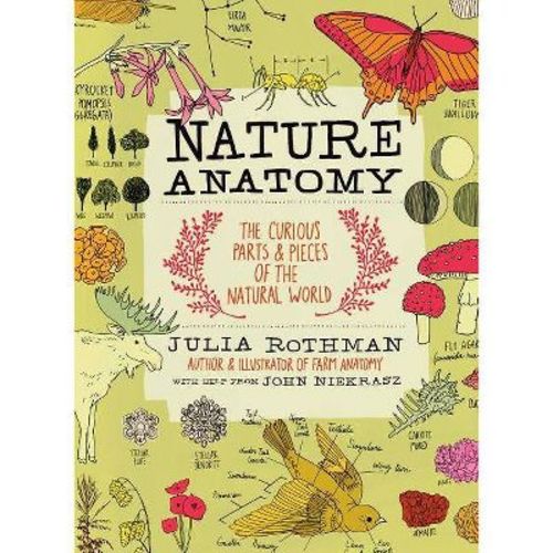 Nature Anatomy - by Julia Rothman (Paperback)