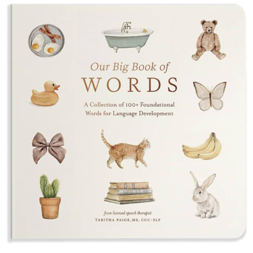 Our Big Book of First Words: A Collection of 100+ Foundational Words for Language Development (Tabitha Paige Children's Book Series)