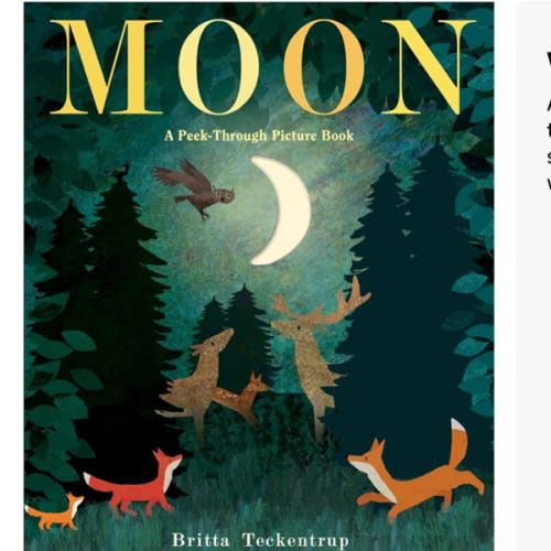 Moon: A Peek-Through Picture Book