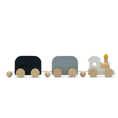 Celebration Train
