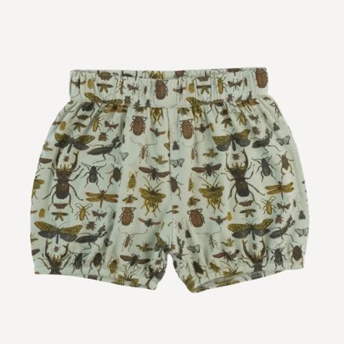 bubble short | sage insects | modal