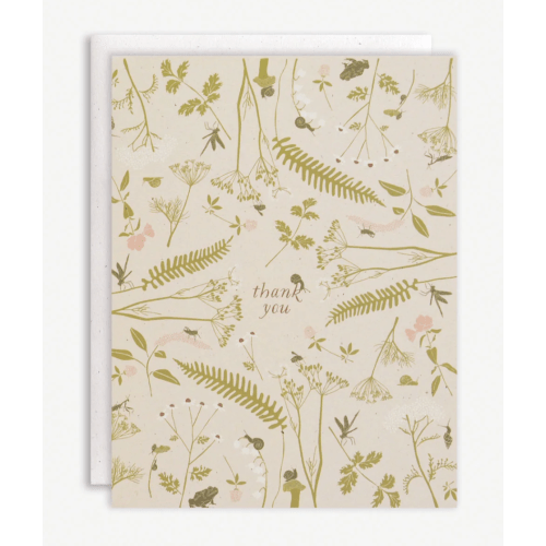 Bug Garden Thank You Boxed Set