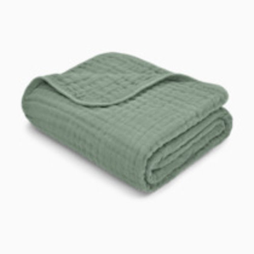 Comfy Cubs 6-Layer Cotton Muslin Baby Blanket - Fern