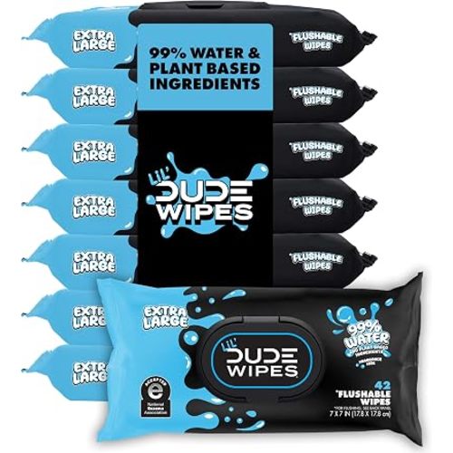 LiL' DUDE Wipes Flushable Potty Training Water Wipes, Unscented, 336 Count