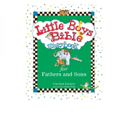 Little Boys Bible Storybook for Fathers and Sons by Carolyn Larsen, Caron Turk | eBook | Barnes & Noble®