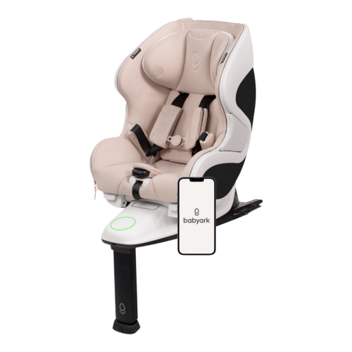 babyark Smart Convertible Car Seat