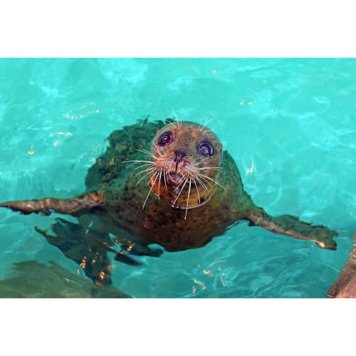 A day at the Norwalk Aquarium