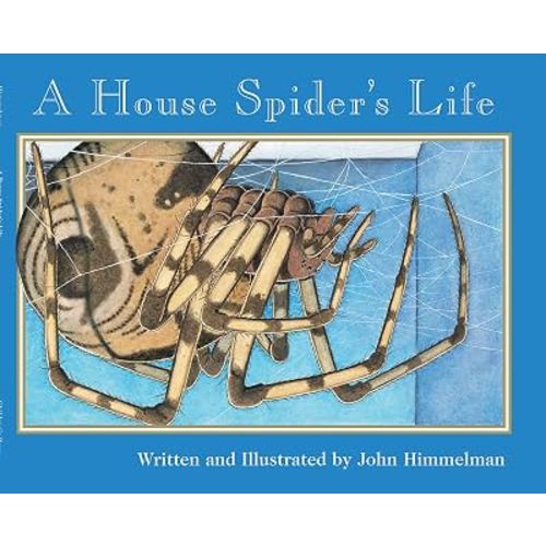 A House Spider's Life (Nature Upclose)