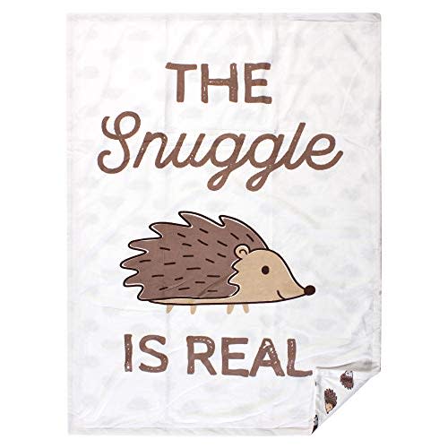 Hudson Baby Unisex Baby Plush Mink Blanket, Hedgehog, One Size