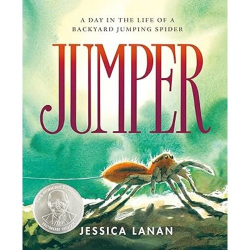 Jumper: A Day in the Life of a Backyard Jumping Spider