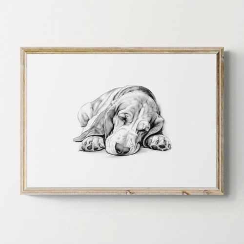 Sleeping Basset Hound Print, Dog Vintage Print, Dog Sketch, Farmhouse Decor, Basset Hound Gifts | Printable Digital Download