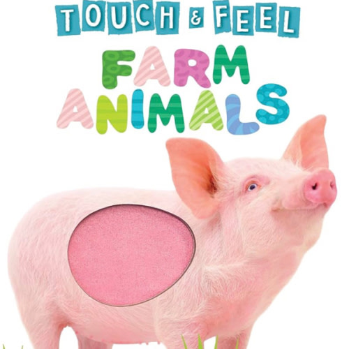 Touch and Feel Farm Animals - Novelty Book - Children's Board Book - Interactive Fun Child's Book