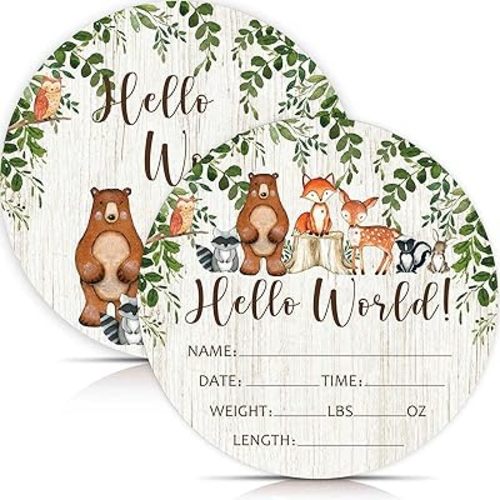 Birth Stat Sign for Newborn, Woodland Animals Baby Announcement, Forest Hello World Name Sign for Hospital Birth Announcement, Gift for New Mom, Baby Shower, Pregnancy Announcement, Photography Prop