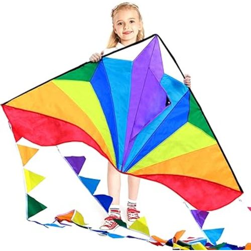 HONBO Large Delta Kite for Kids & Adults,Extremely Easy to Fly Kite for Beach Trip,String Line Included,with Colorful Tail,Perfect for Beginners