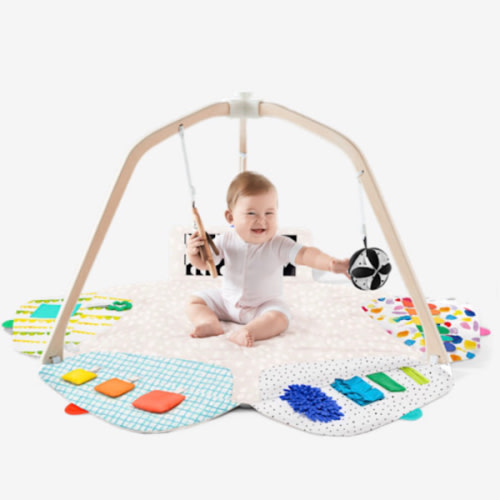 Loverly Play Gym and Toys Fund