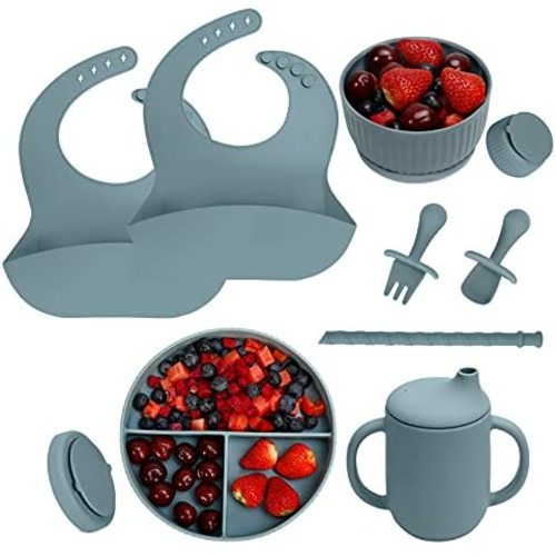 Baby Led Weaning Supplies - CSFICTS Baby Feeding Set - Silicone Suction Bowls, Divided Plates, Straw Sippy Cup - Toddler Self Feeding Eating Utensils Dishes Set with Bibs, Spoons, Fork - 6 Months