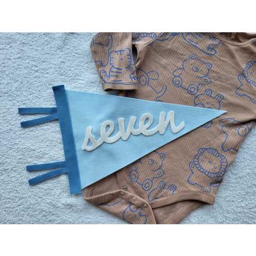 Baby milestone cards, Milestone flag Baby, Monthly milestone marker, Personalized pennant, Monthly milestones baby boy, Millistone card