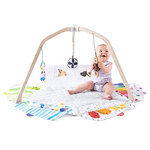 The Play Gym by Lovevery | Stage-Based Developmental Activity Gym & Play Mat for Baby to Toddler