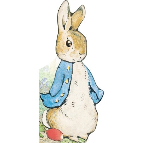 All About Peter (Peter Rabbit) Board book – Illustrated, January 9, 2018