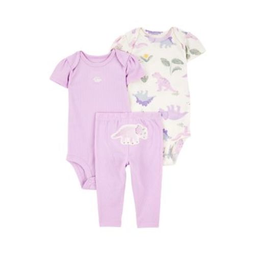 Baby Girls 3 Piece Bodysuit Set