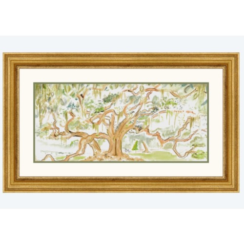 Tree of Life/ Audubon Park/ Live Oak watercolor giclée fine art print