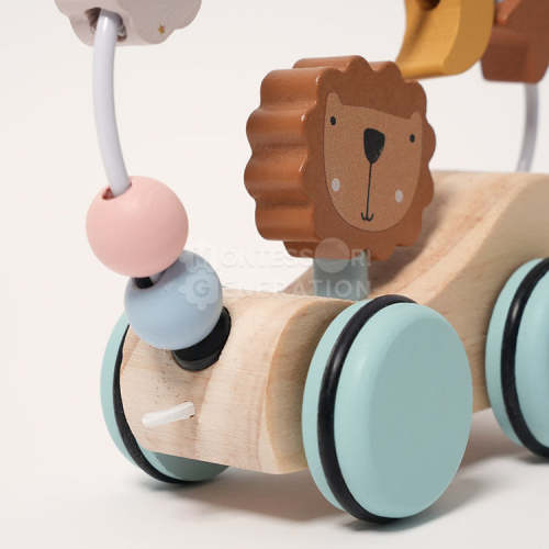 Montessori Roaring Roller - Pull, Push, & Explore!