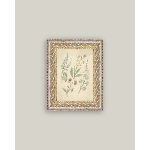 Pink and Blue Wildflowers